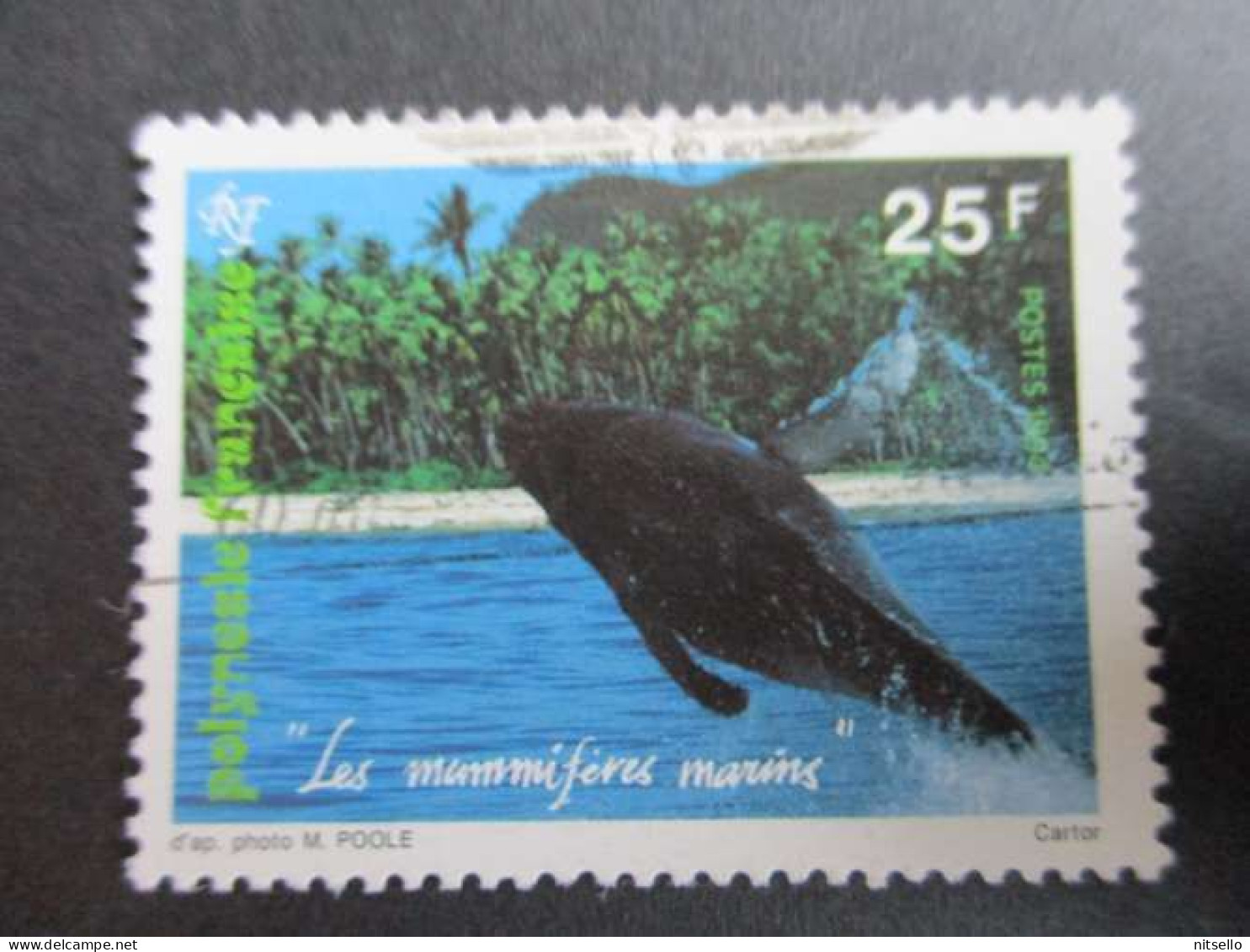 LOTE 2202B ///  (C020)  POLINESIA FRANCESA  - YVERT Nº: 450 OBL 1994 ¡¡¡ OFERTA - LIQUIDATION - JE LIQUIDE !!! - Used Stamps