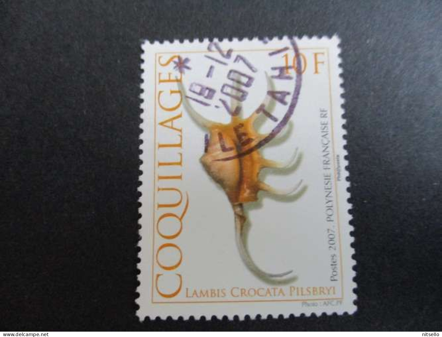 LOTE 2202B ///  (C010)  POLINESIA FRANCESA  - YVERT Nº: 804 OBL 2007   ¡¡¡ OFERTA - LIQUIDATION - JE LIQUIDE !!! - Used Stamps