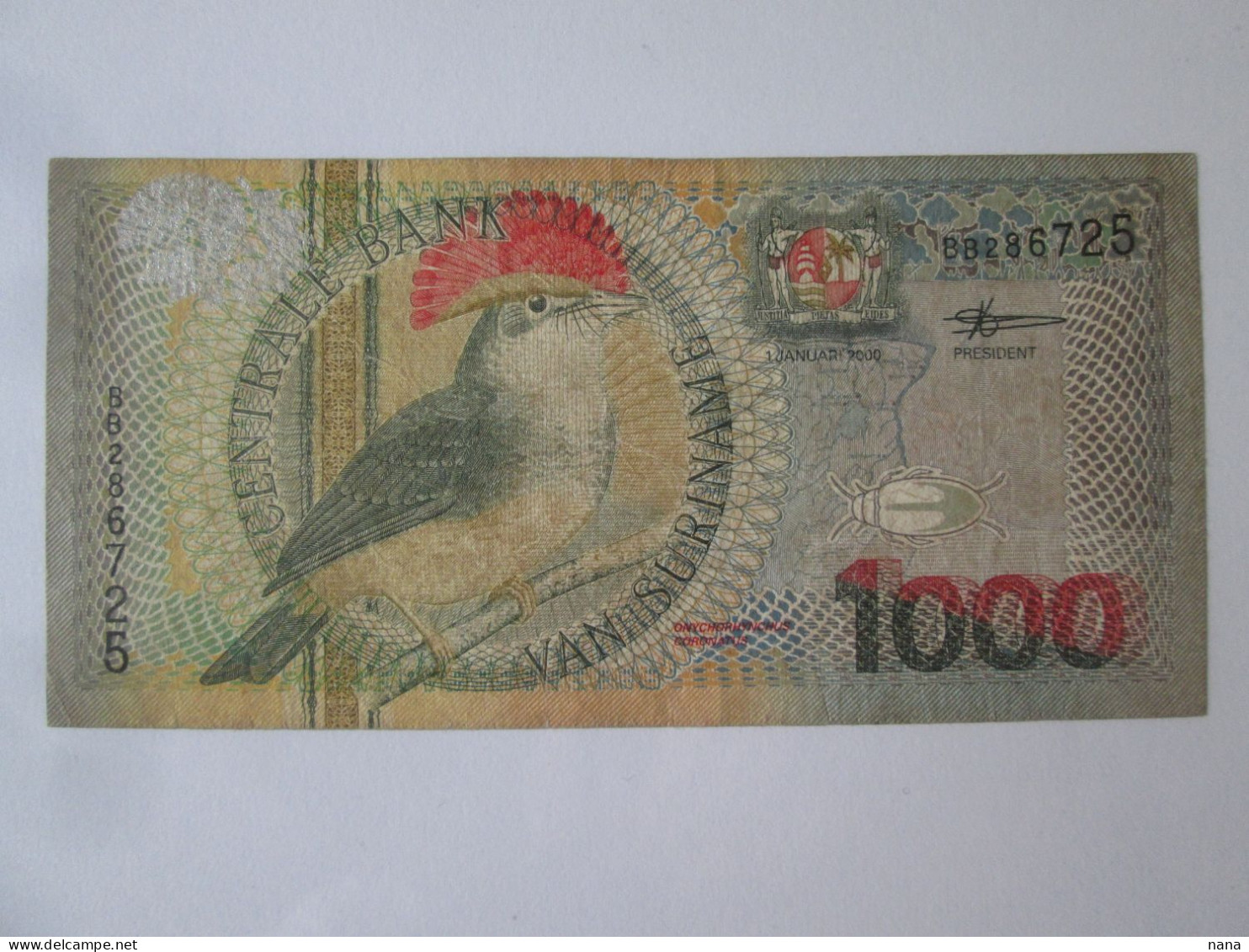 Surinam 1000 Gulden 2000 Banknote,see Pictures - Surinam