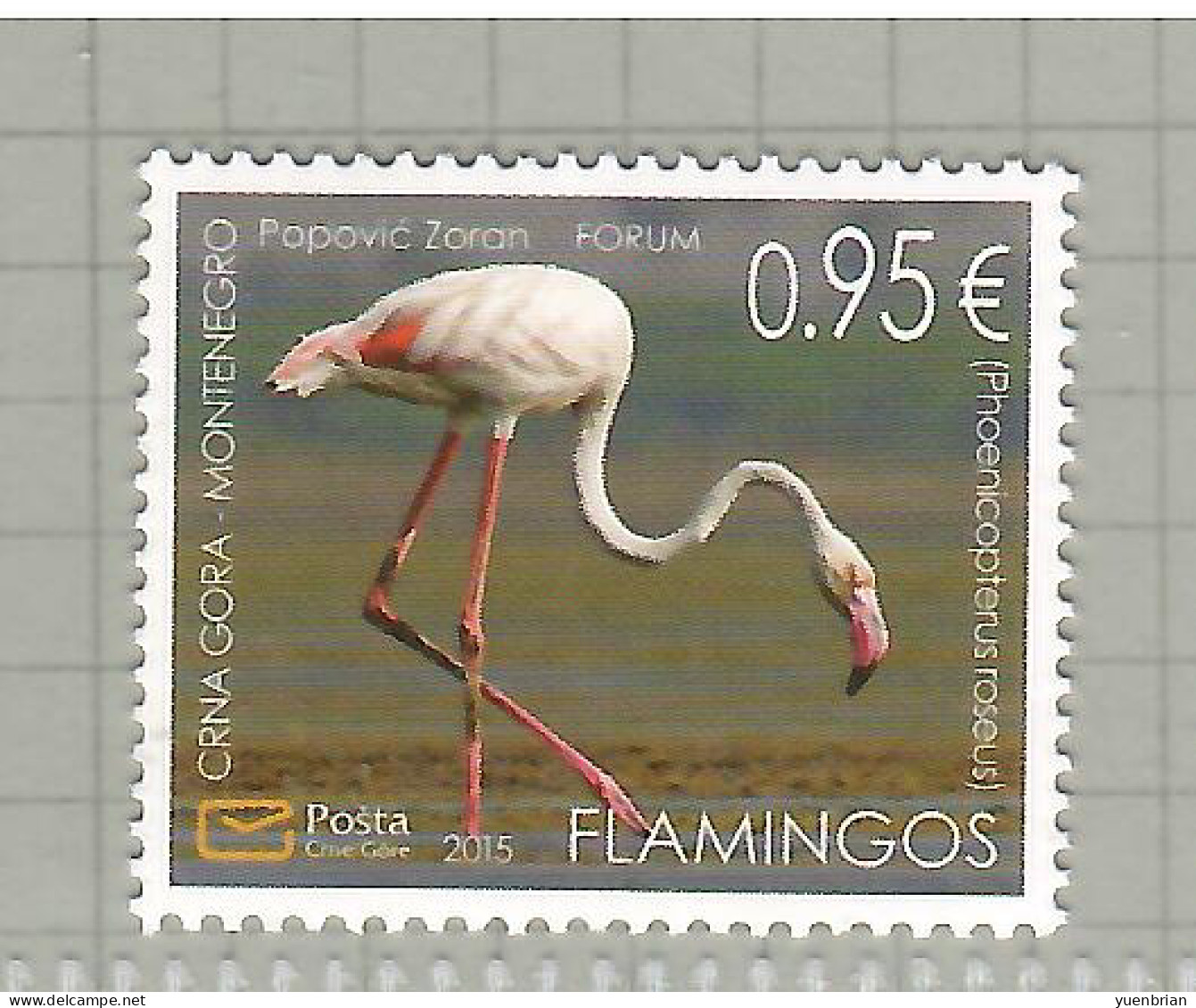 Montenegro 2015, Bird, Birds, Flamingo, 1v, MNH** - Fenicotteri