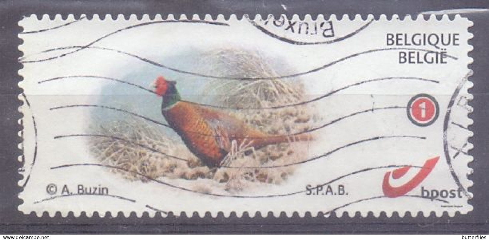 Belgie - 2023 -  Mystamp -  Fazant - A. Buzin - Gebraucht