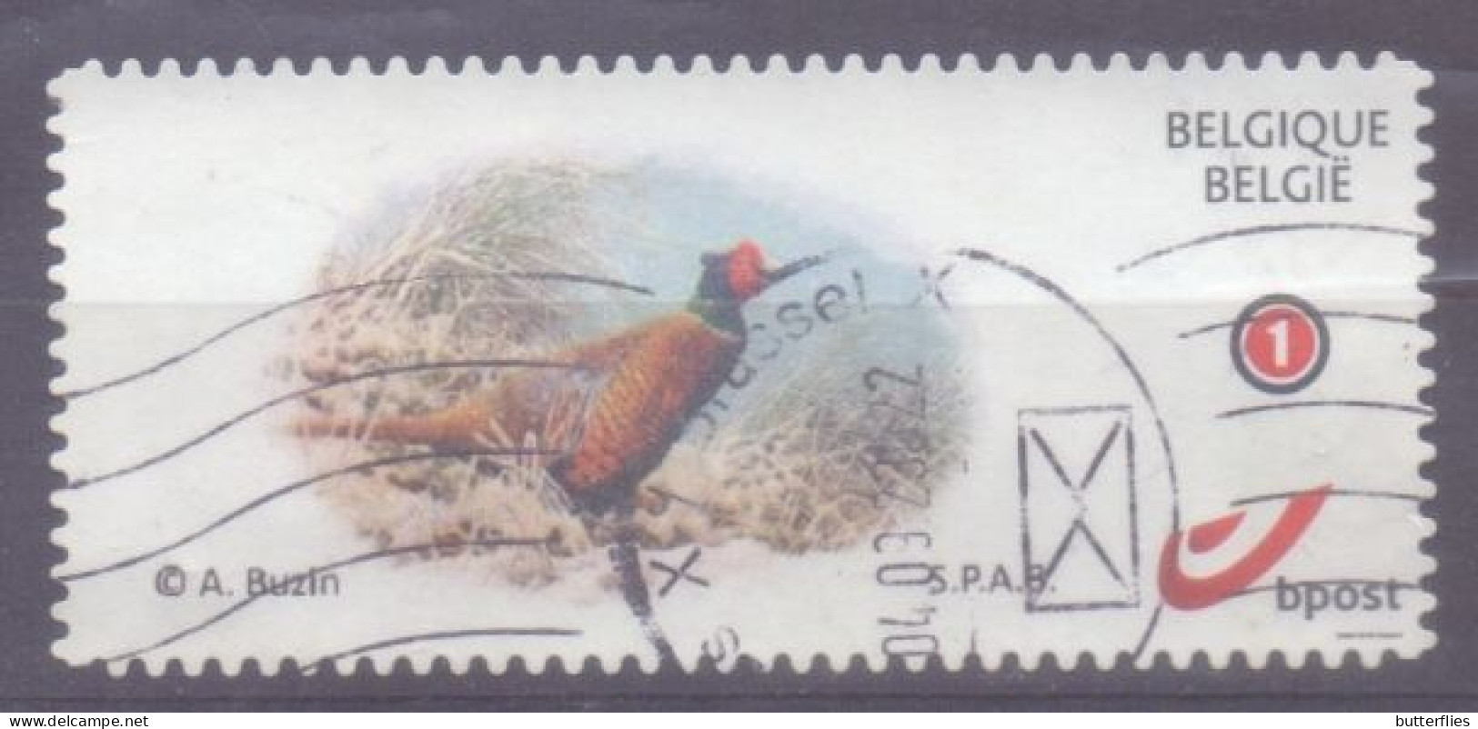 Belgie - 2023 -  Mystamp -  Fazant - A. Buzin - Afgestempeld