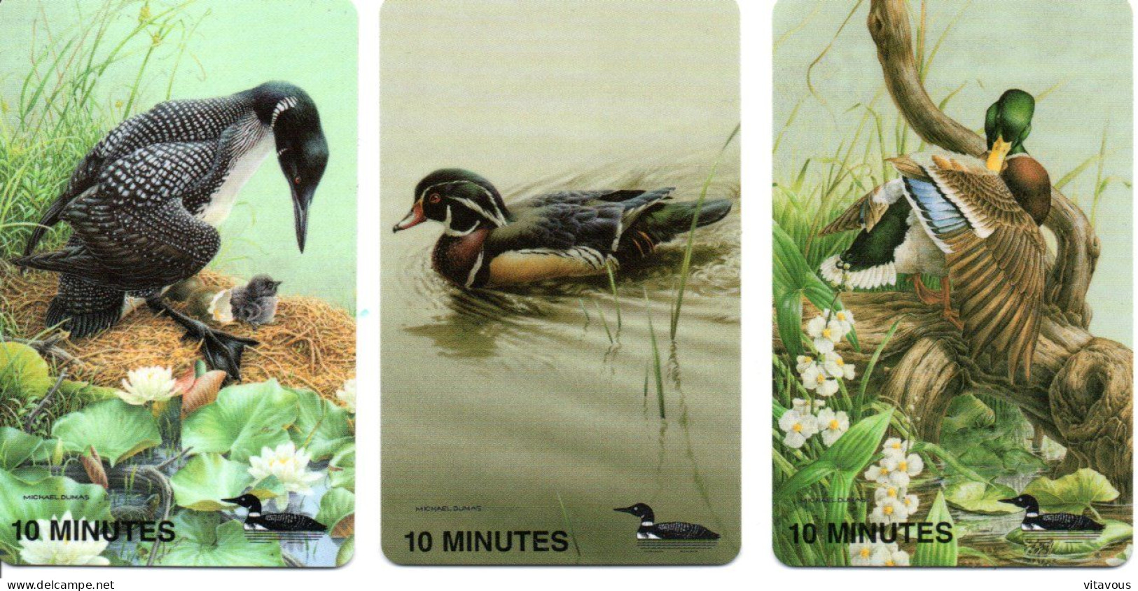 Oiseau Bird 3 Cartes Series One - Limited Edition  États-Unis Phonecard (1203)) - Collections