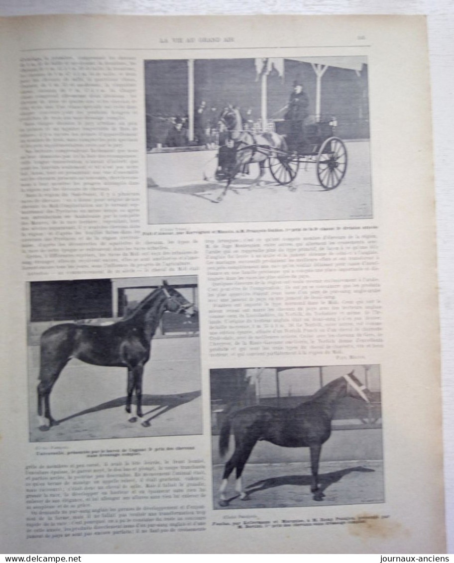 1901 LA VIE AU GRAND AIR - HIPPISME BORDEAUX - TENNIS SUR LE LITTORAL - CANADA SAINT - CYCLISME - O'GALOP - AVIRON