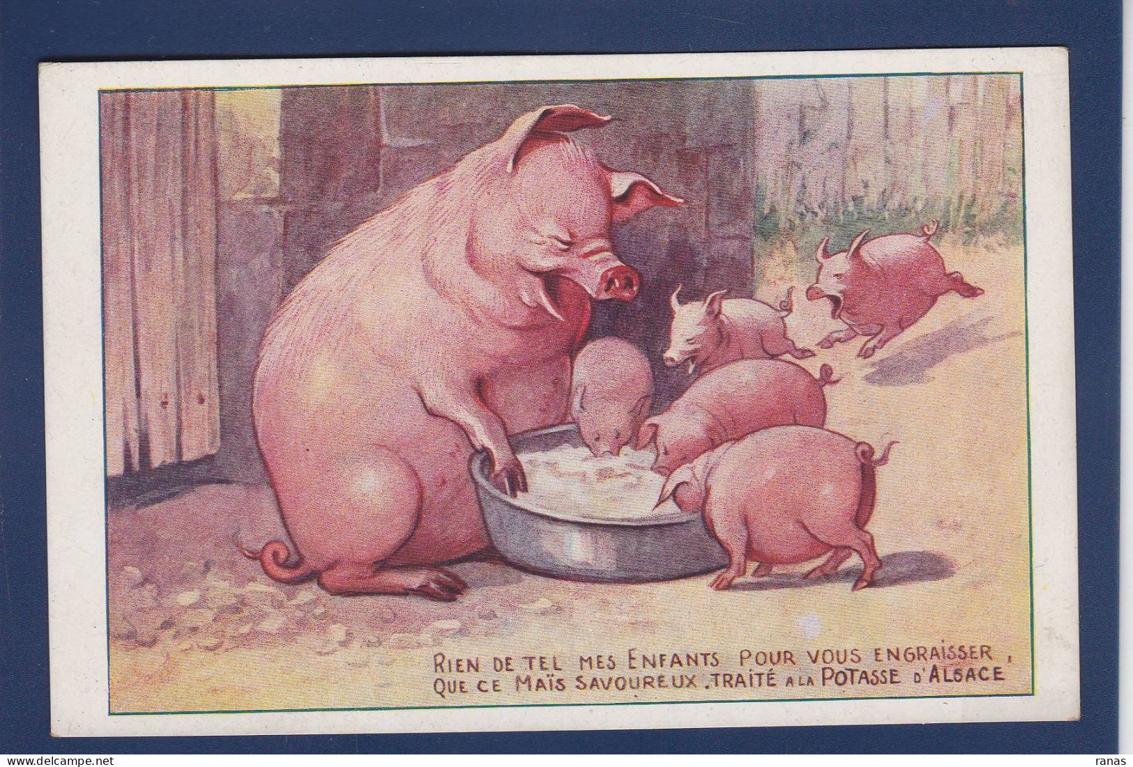 CPA Cochon Pig Publicité Publicitaire Potasse D'Alsace Non Circulé - Schweine