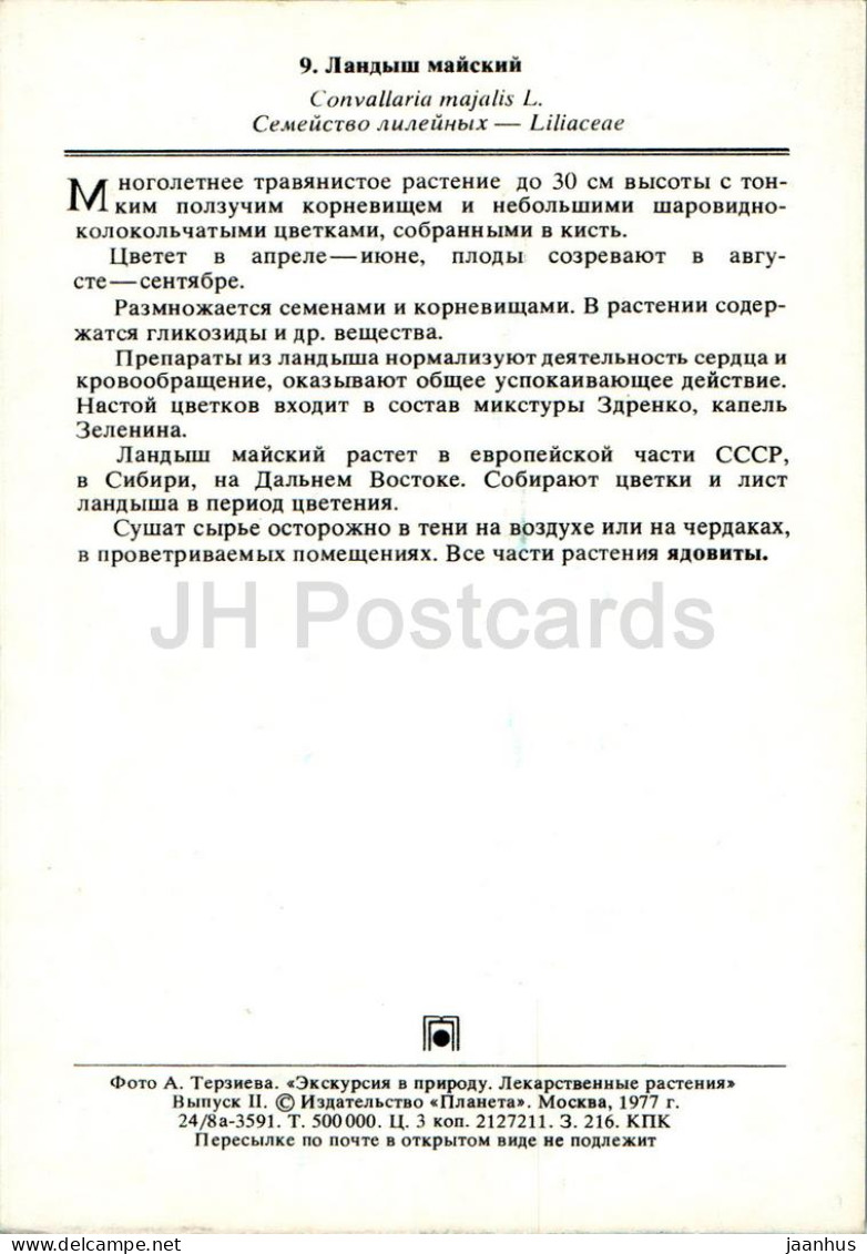 Convallaria Majalis - Lily Of The Valley - Medicinal Plants - 1977 - Russia USSR - Unused - Plantes Médicinales