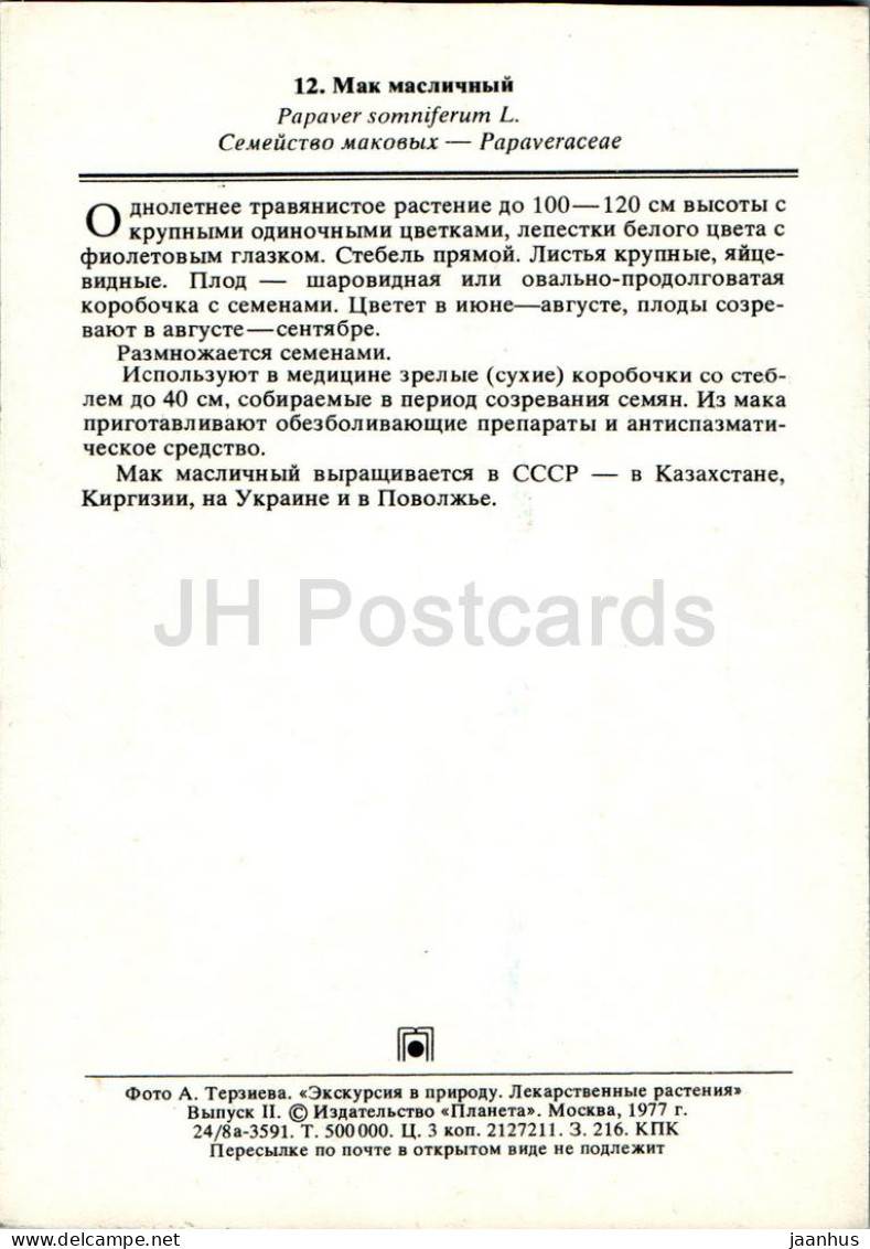 Papaver Somniferum - Poppy - Medicinal Plants - 1977 - Russia USSR - Unused - Medicinal Plants