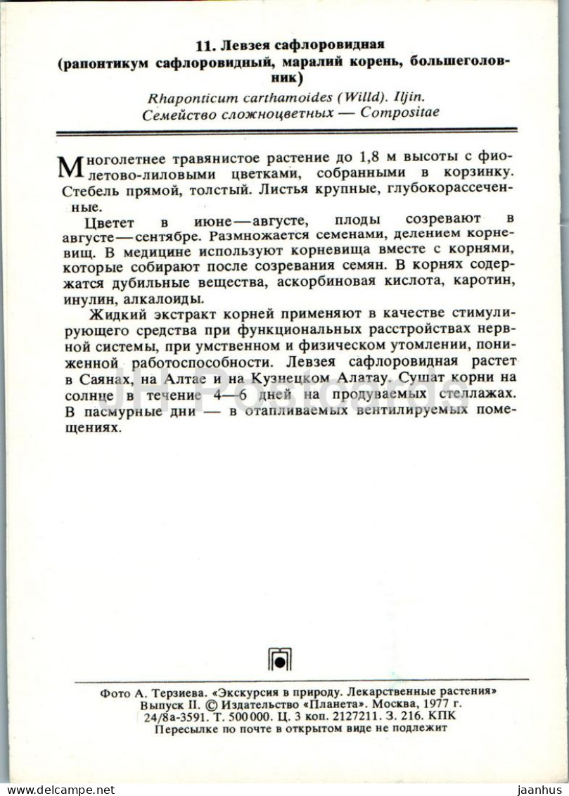 Rhaponticum Carthamoides - Maral Root - Medicinal Plants - 1977 - Russia USSR - Unused - Medicinal Plants