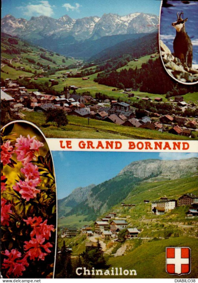 LE GRAND BORNAND       ( HAUTE- SAVOIE )  ET LE CHINAILLON - Le Grand Bornand