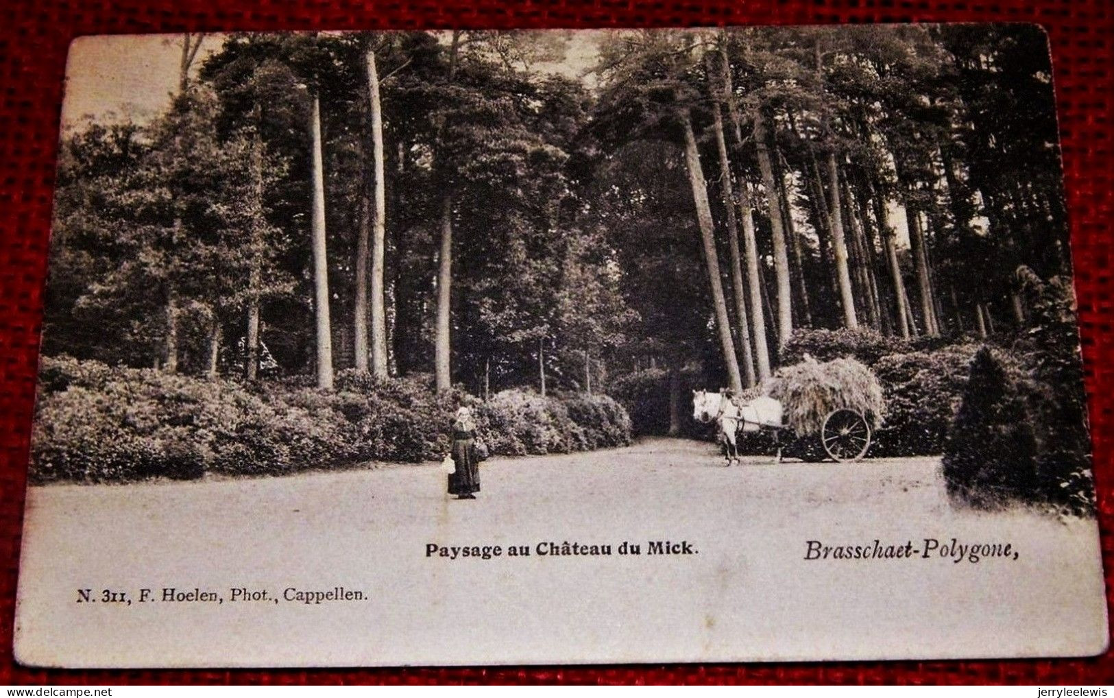 BRASSCHAAT -  BRASSCHAET - POLYGONE -   Paysage  Au  Château Du Mick -    1903 - Brasschaat