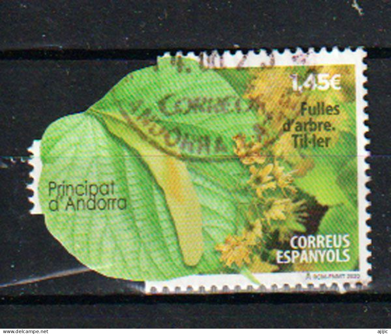 Hoja De Lima.AND.ESP.Año 2020, Cancelado, 1ª Calidad . Feuille De Citron-vert (lime) ,oblitéré 1 ère Qualité - Used Stamps