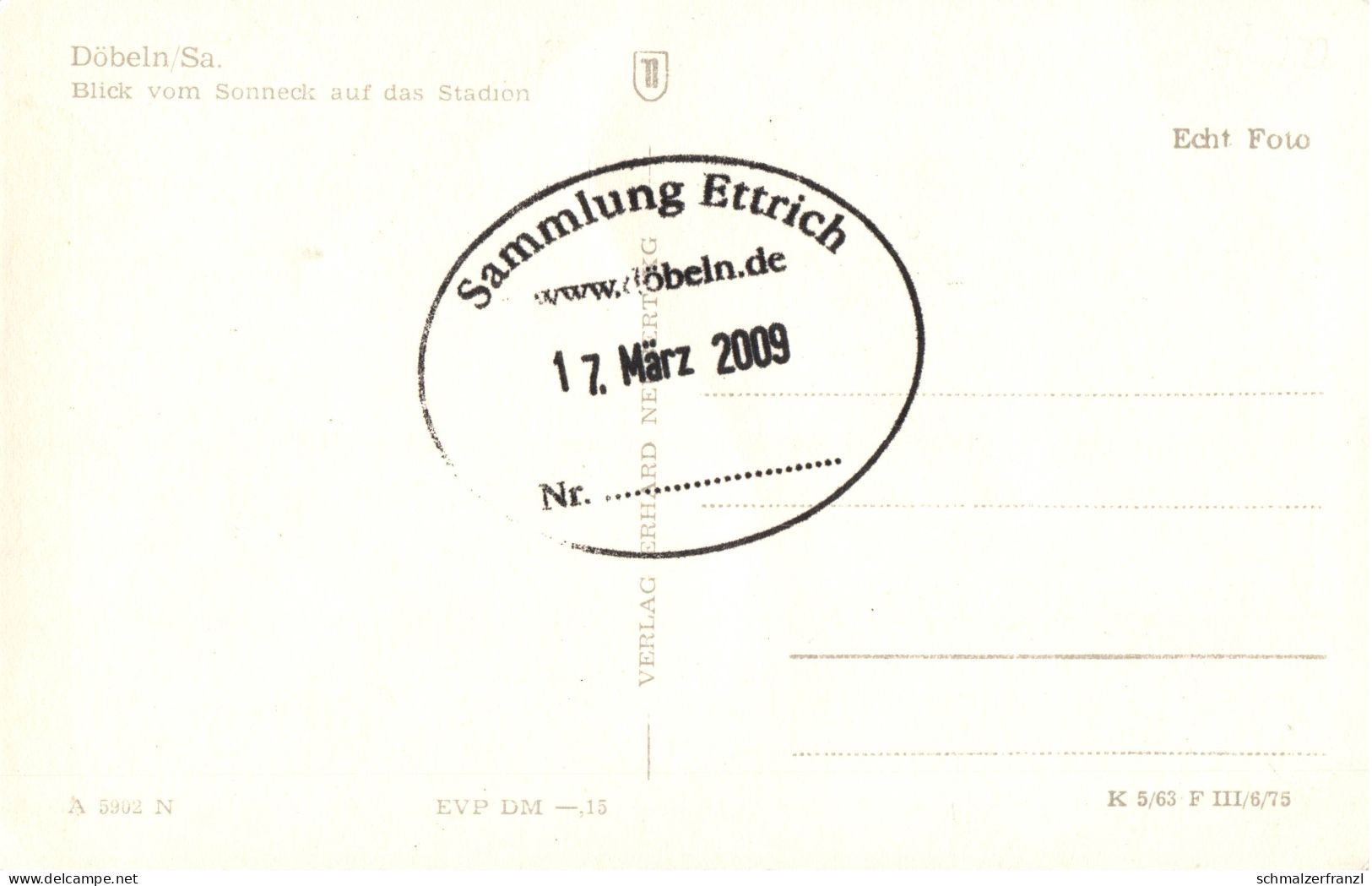 AK Döbeln Blick Sonneck Auf Stadion A Sonnenstraße Bürgergarten Waldheimer Straße Friedrichstraße Geyersberg DDR - Doebeln