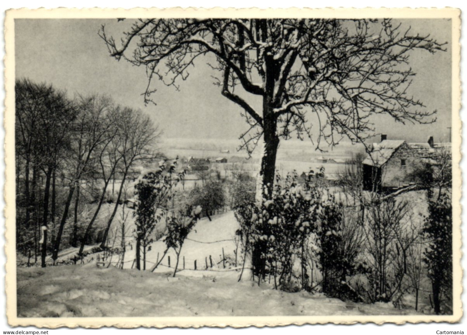 Saint-Sauveur En Renaisis - Un Paysage Comme Breughel Les Peignait - Frasnes-lez-Anvaing