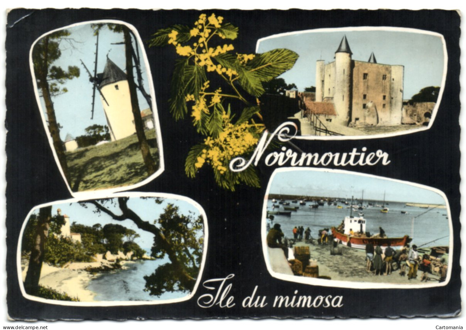 Noirmoutier - Ile Du Mimosa - Noirmoutier