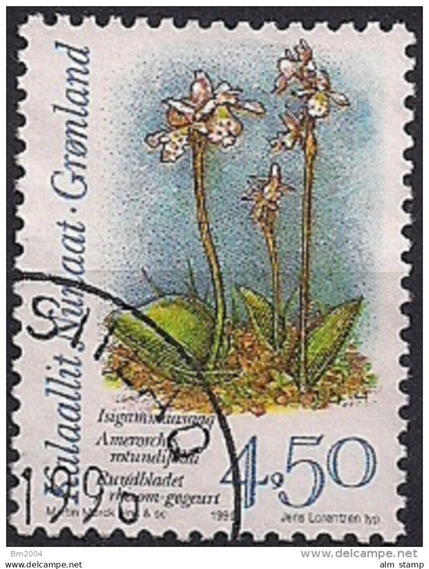 1996 Grönland  Mi.  284 Used  Rundblättrige Orchidee (Amerorchis Rotundifolia) - Usados