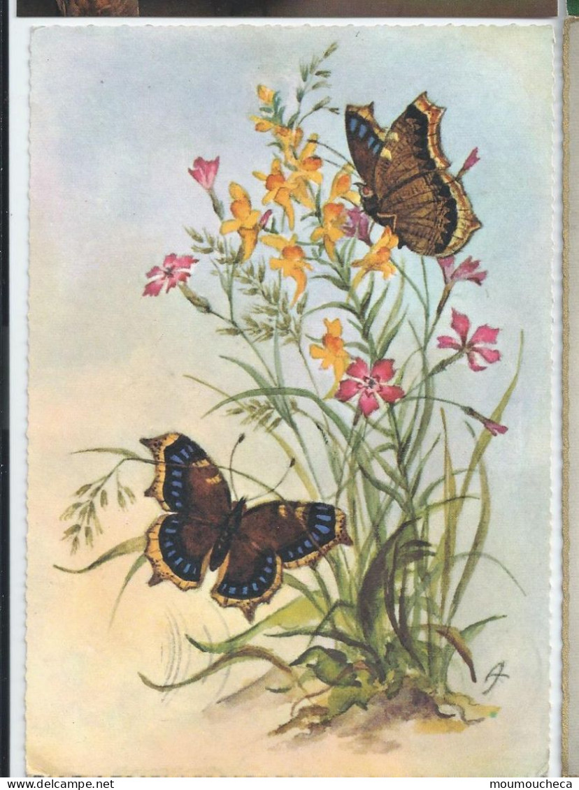 CP : 2 Papillons Dessin Fleurs Et Herbe, Iris Jaune - A - 136 (2 Scans) - Papillons