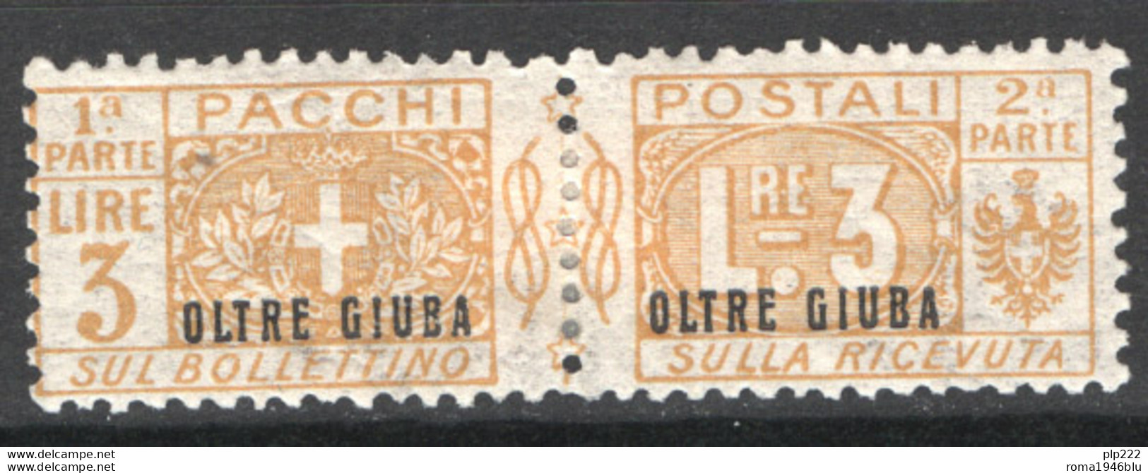 Oltre Giuba 1925 Pacchi Postali Sass.PP8 */MH VF/F - Oltre Giuba