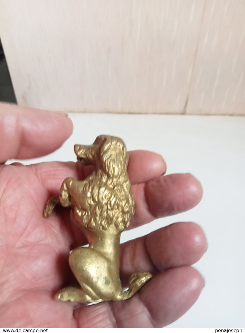 Petit chien en bronze doré du XIXème hauteur 7 cm