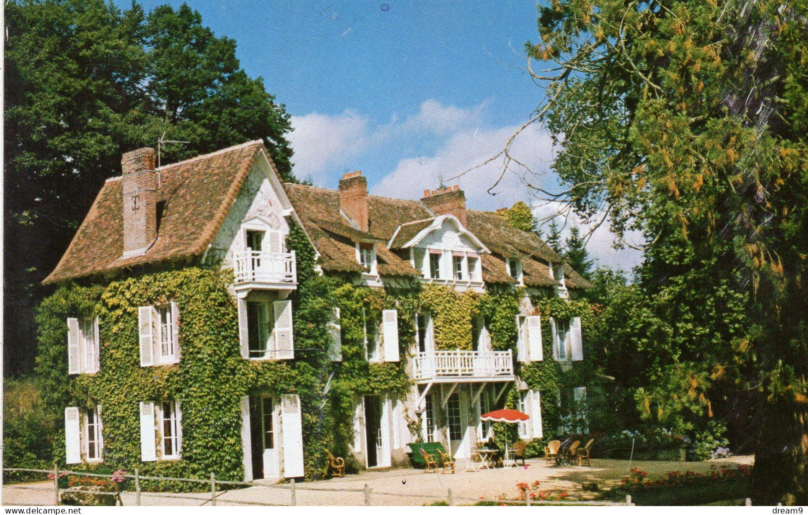 87 CHALUS - Les Forêts - Saint Nicolas De Courbefi - Chalus