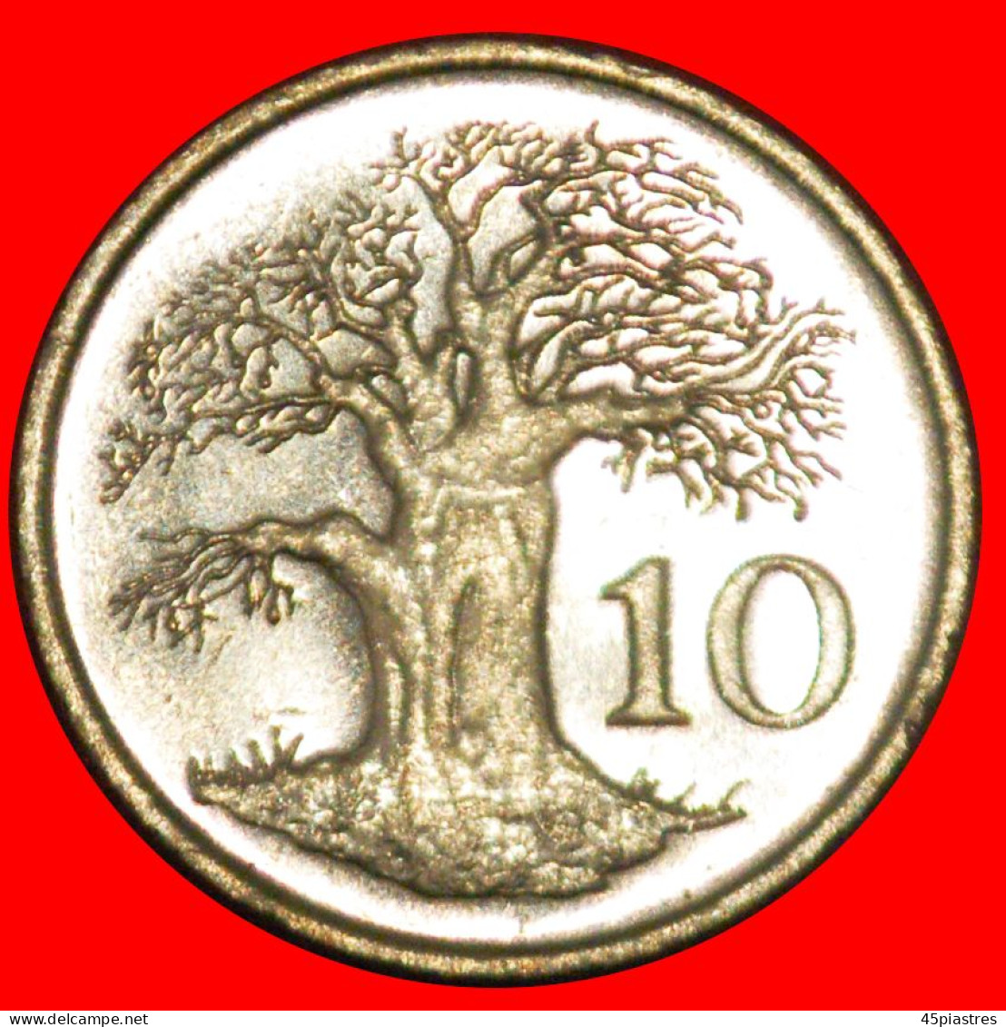 * GREAT BRITAIN (1980-1999): ZIMBABWE  10 CENTS 1994 BAOBAB MINT LUSTRE!· LOW START · NO RESERVE! - Zimbabwe