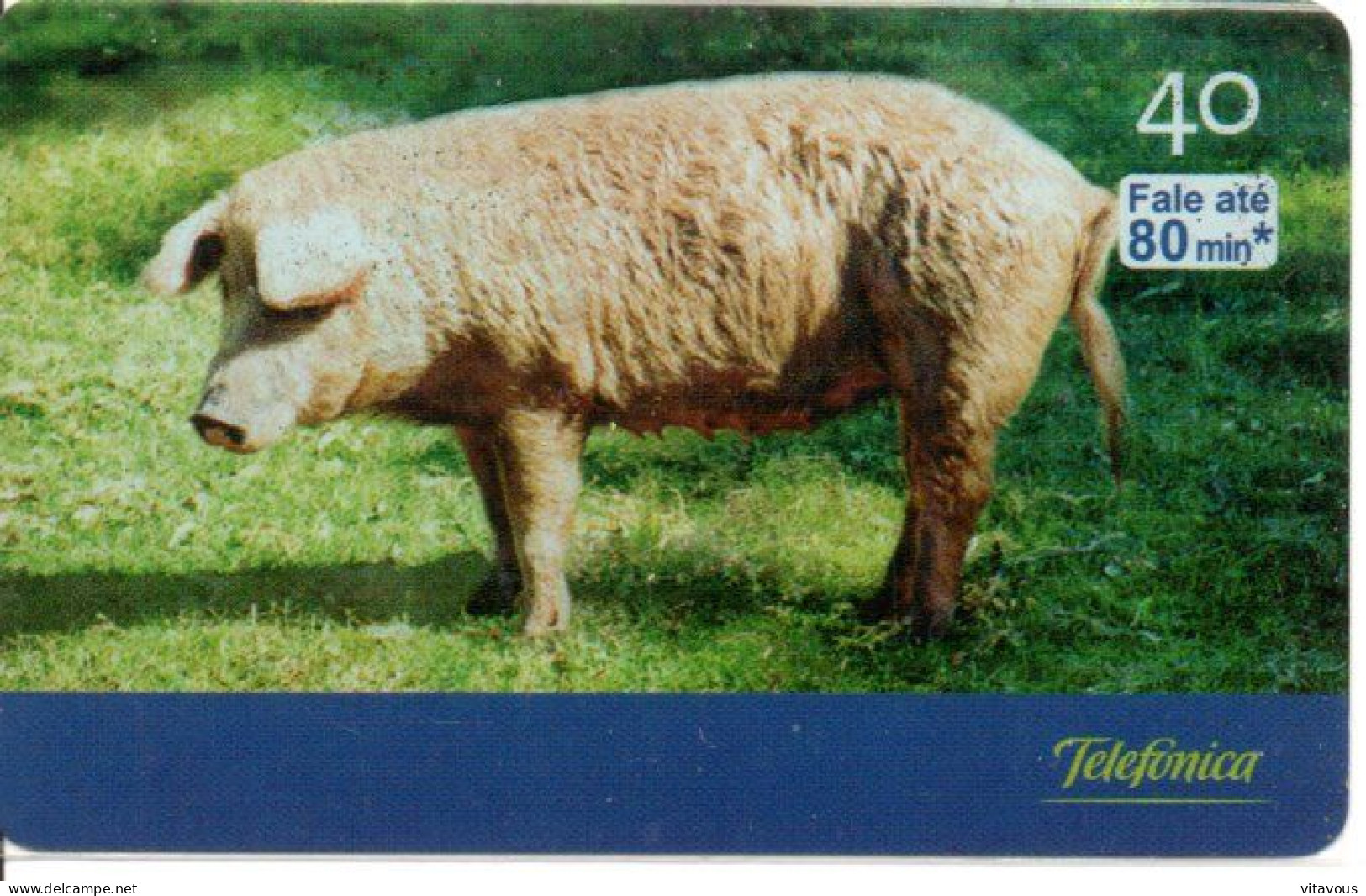 Cochon PIG Télécarte Brésil Phonecard (B 763) - Brasilien