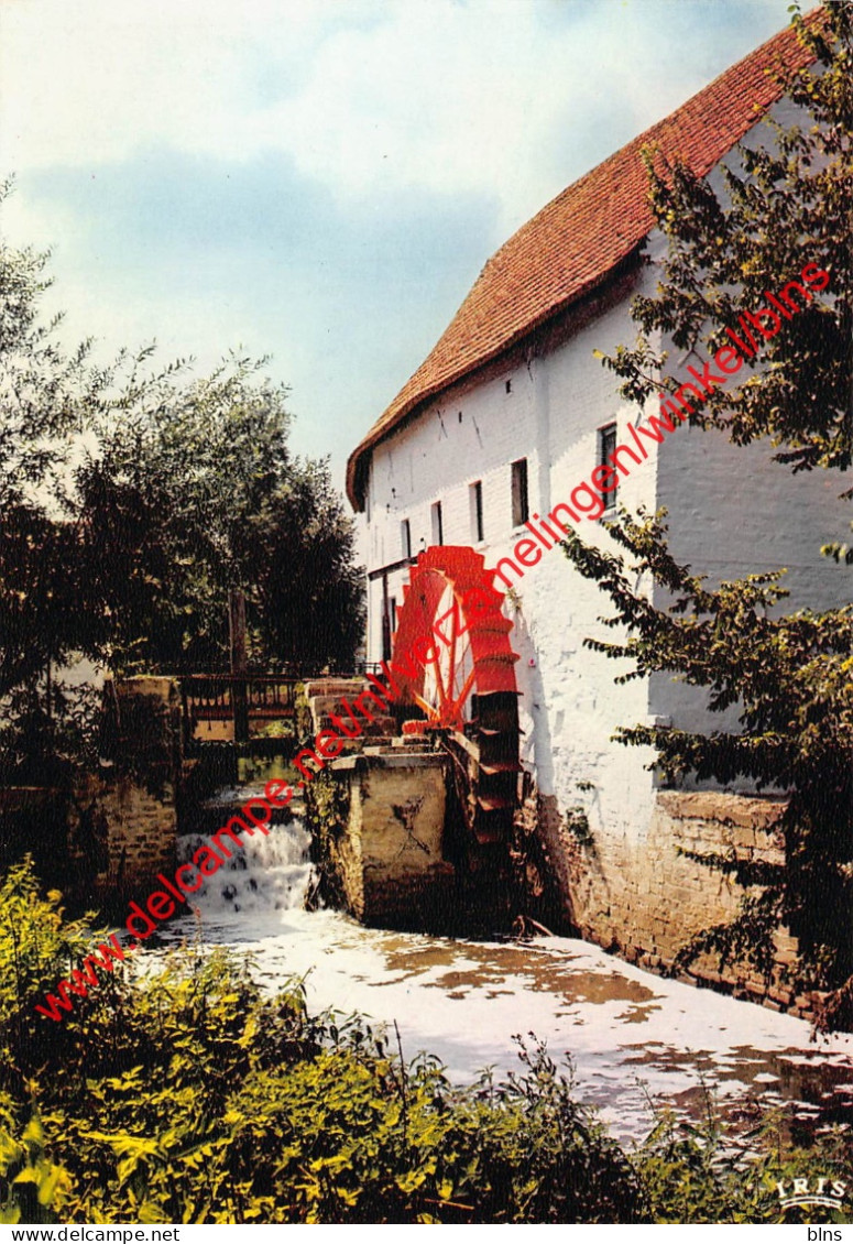 Tommenmolen - Grimbergen - Grimbergen