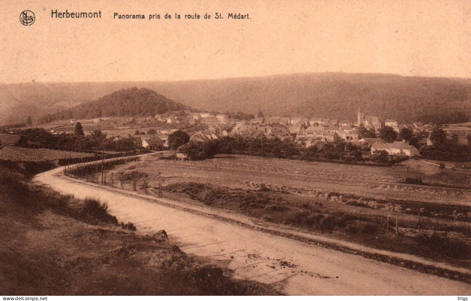 Herbeumont - Panorama Pris De La Route De St. Médart - Herbeumont