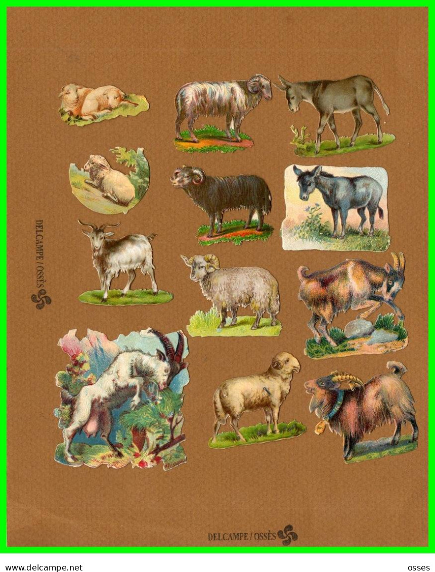 Douze Chromos Découpis Anes Moutons Belier Chévre (recto Verso) - Animals
