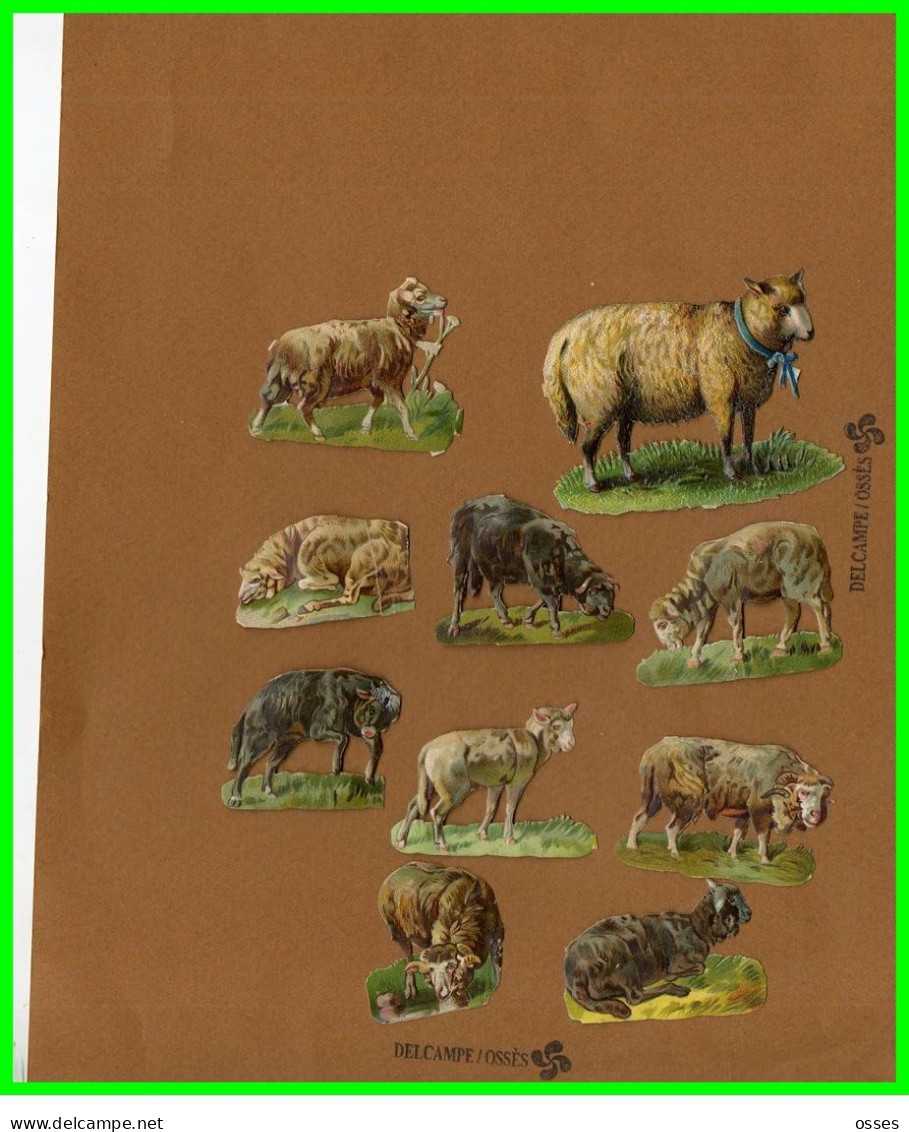 Dix Chromos Découpis 8 Moutons /1 Vache 1 Ane (recto Verso) - Animales