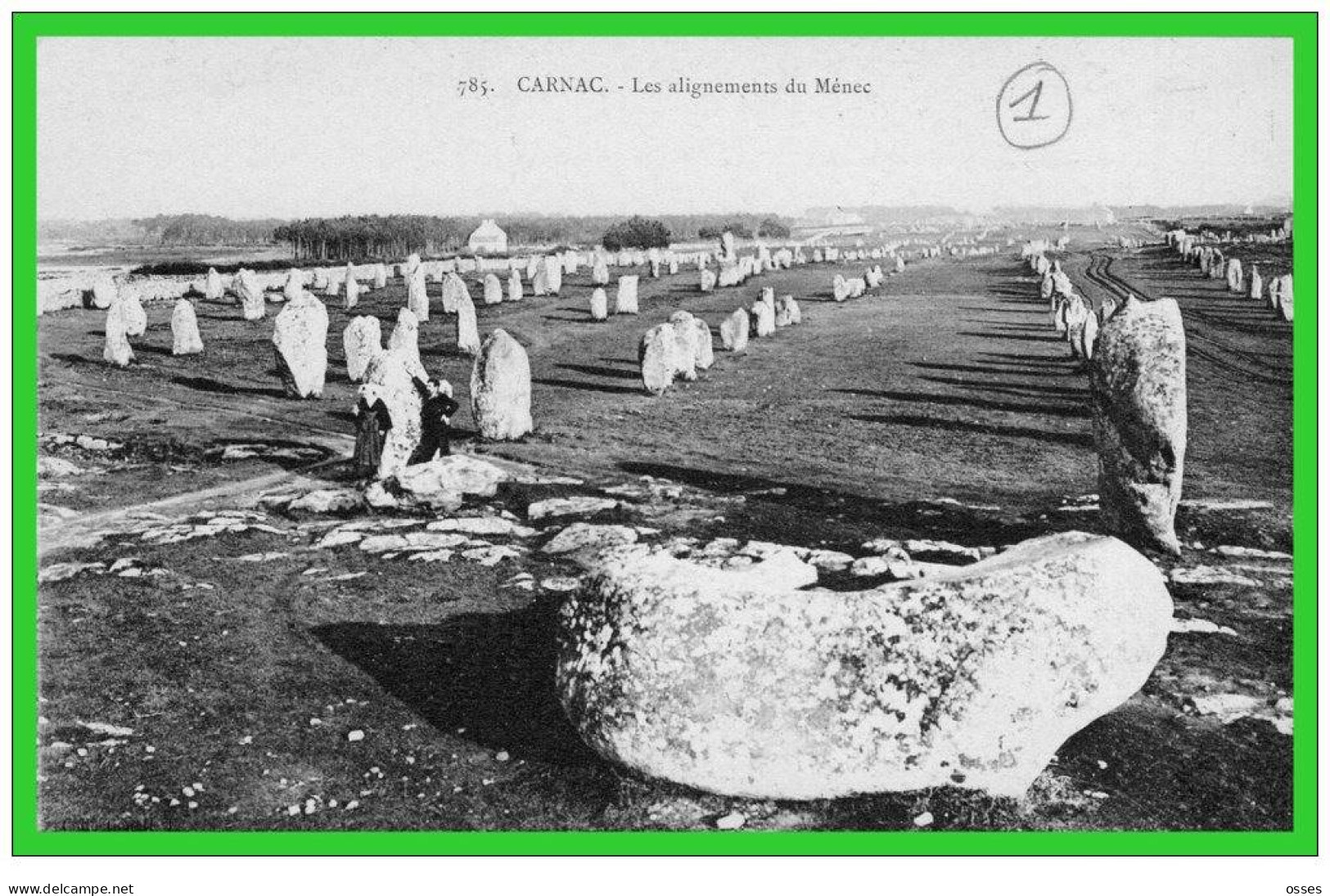 - TROIS C.P.A CARNAC- Alignements Du Ménéc-(recto Verso) - Dolmen & Menhirs