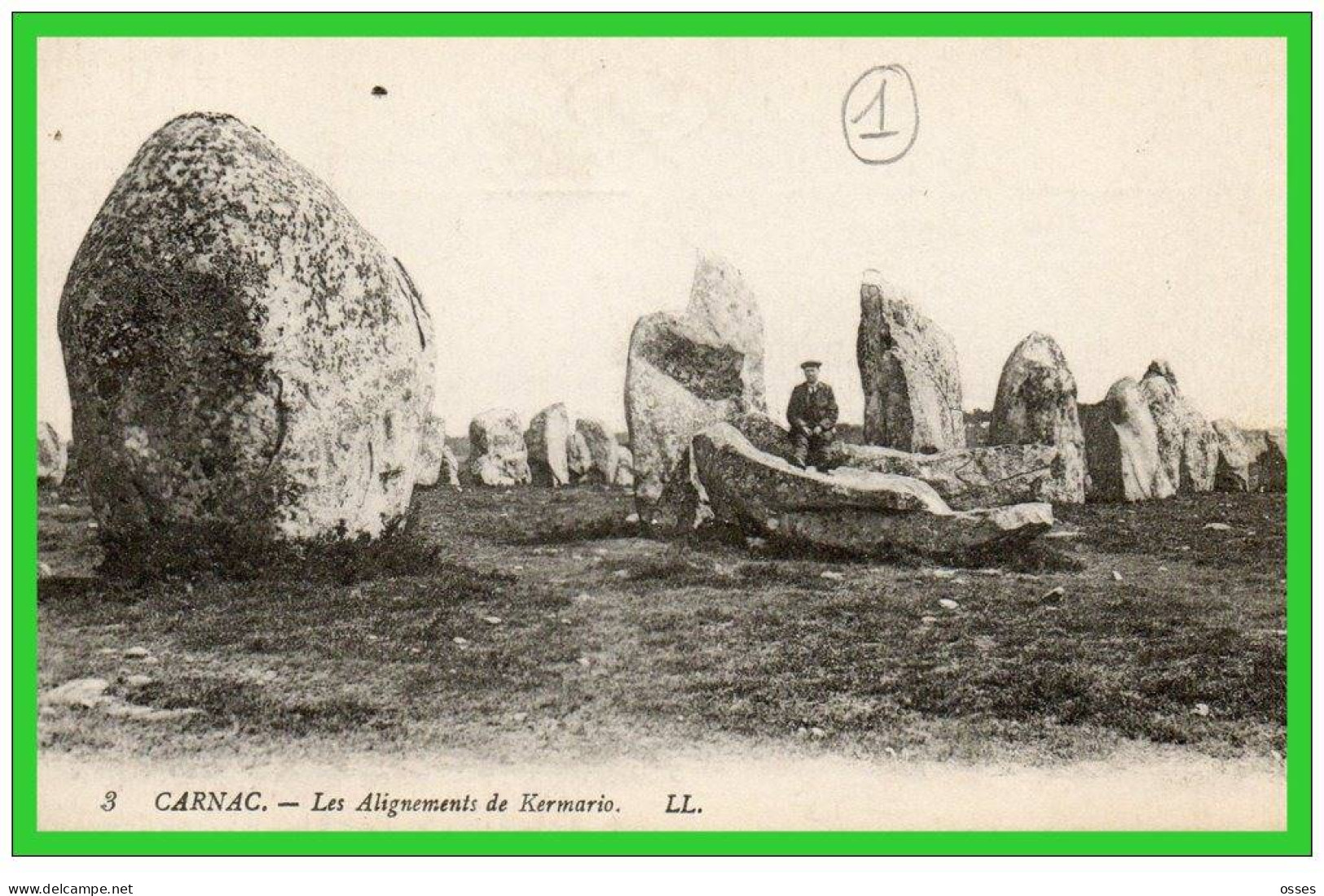 TROIS C.P.A.CARNAC-Alignements De Kermario.Entrée Du Dolmen...(rectos Versos) - Dolmen & Menhirs