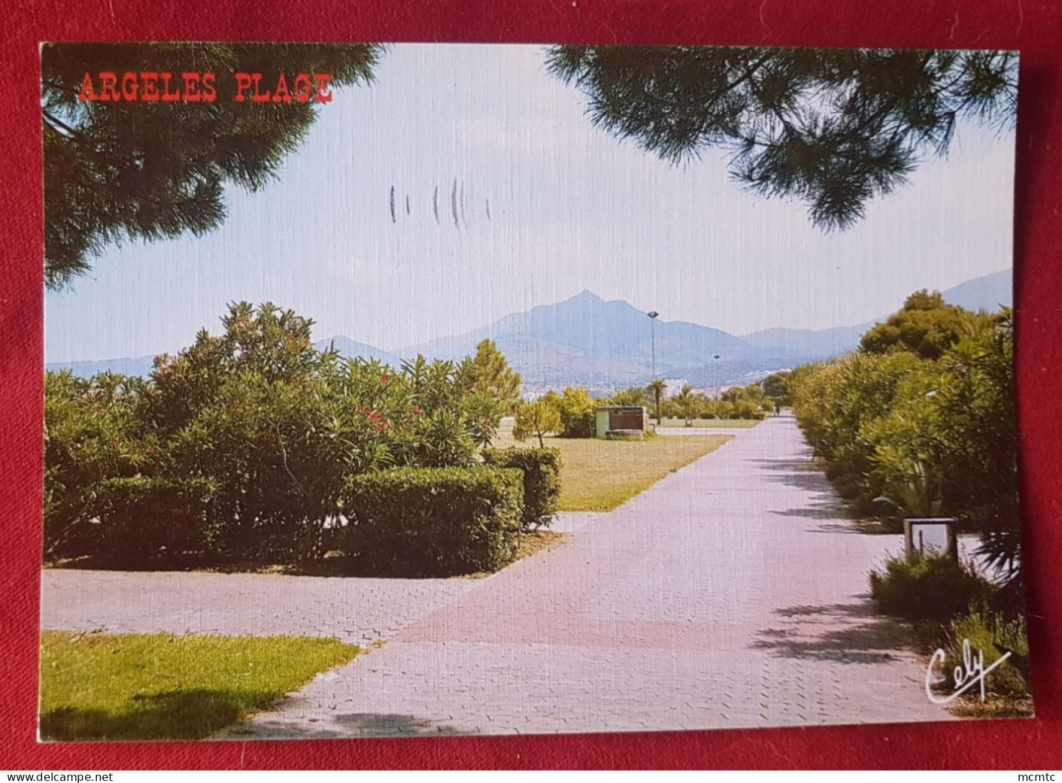 CPM -  Argelès Plage - La Promenade - Argeles Sur Mer