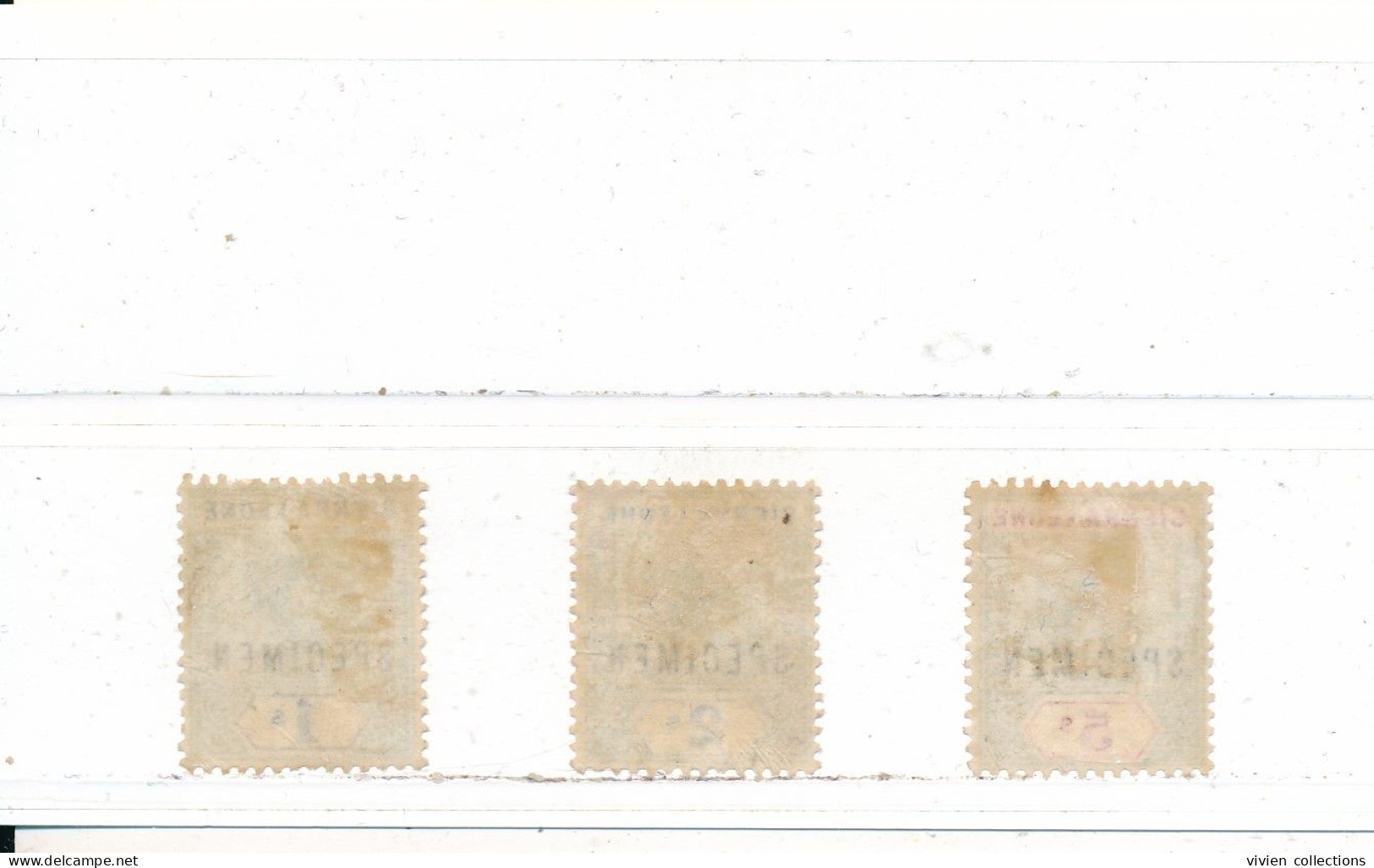 Sierra Leone Colonie Britannique N° 40, 41 Et 42 Surchargés SPECIMEN - Sierra Leone (...-1960)