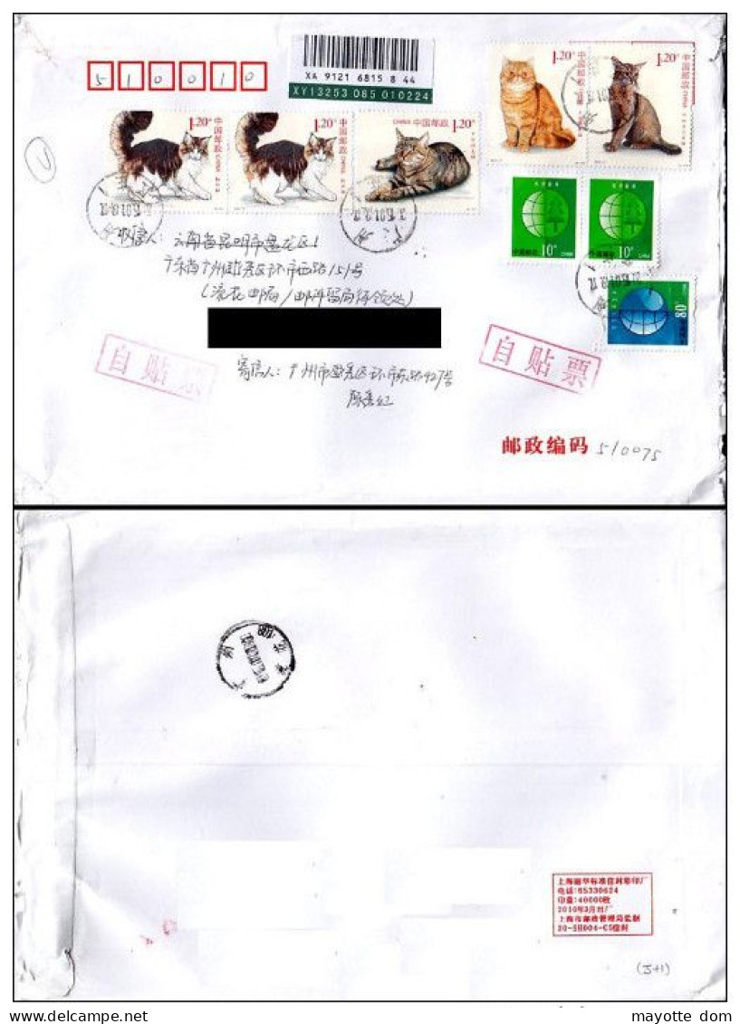 CHINA Chine 2014 Guangzhou Cover Cat Li Hua Maine Coon Abyssin Shorthair - Lettres & Documents