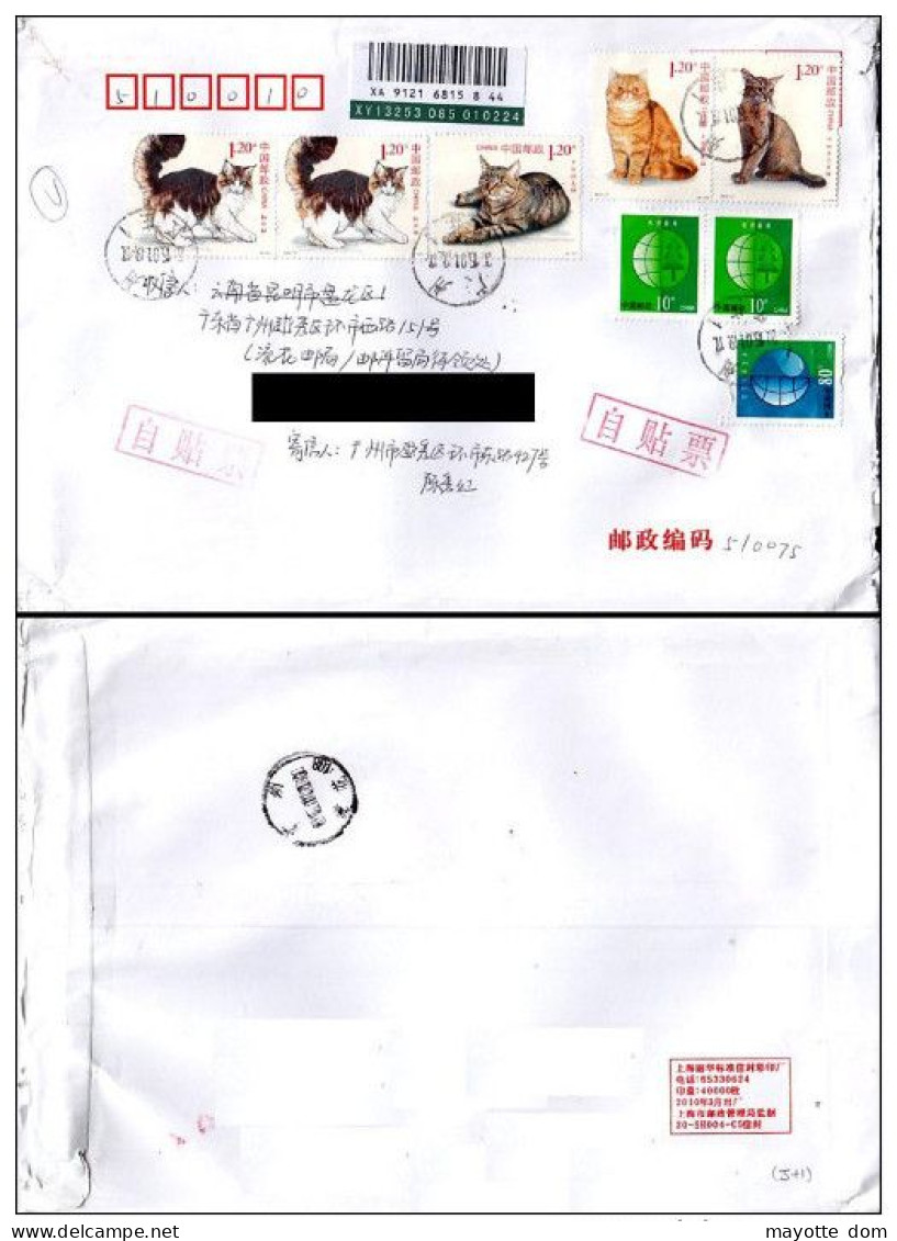 CHINA Chine 2014 Guangzhou Cover Cat Li Hua Maine Coon Abyssin Shorthair - Cartas & Documentos