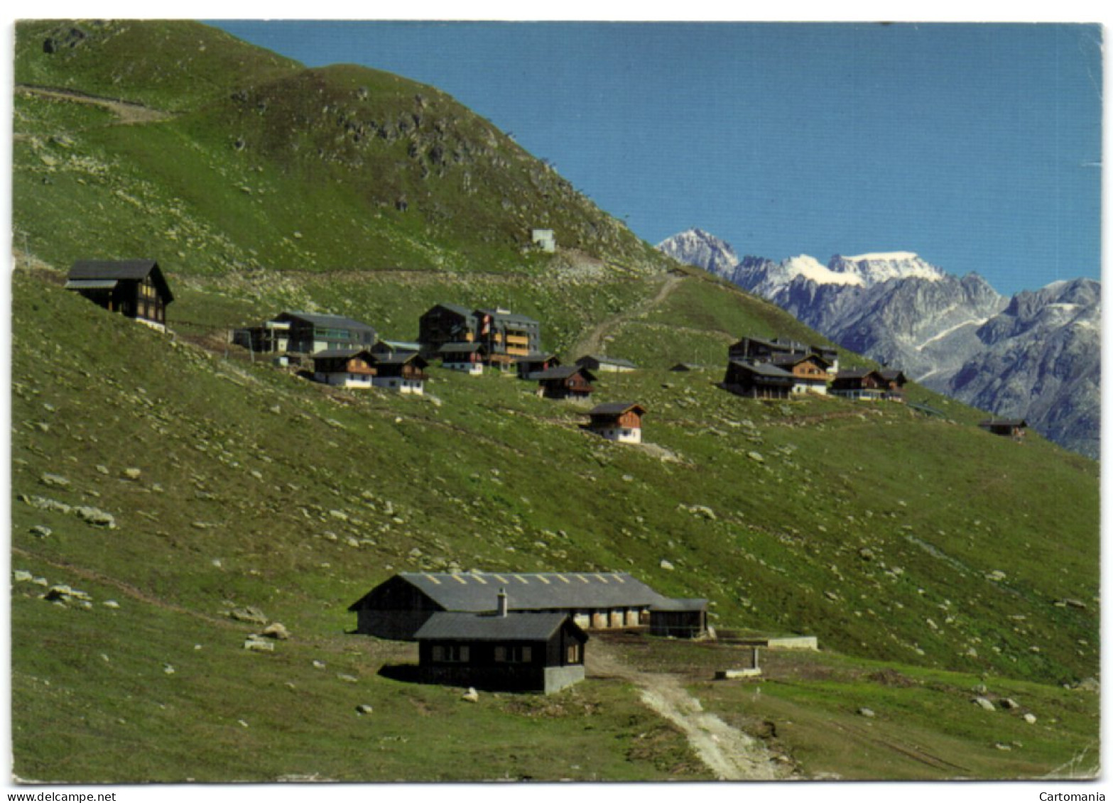 Kühboden Ob Fiesch An Der Eggishornbahn Galmihorn - Fiesch