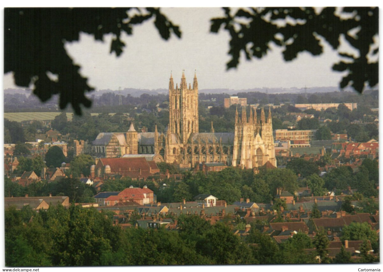 Canterbury Cathedral - View From The University - Canterbury