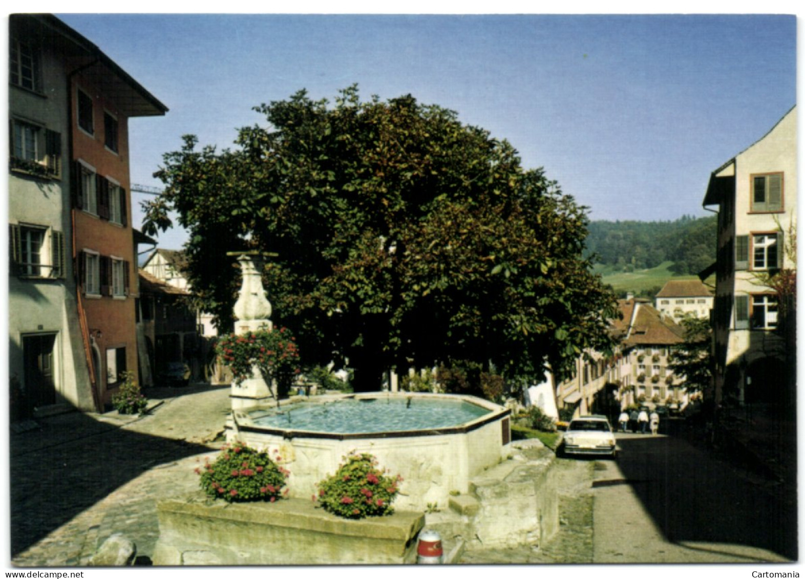 Kaiserstuhl AG - Widderbrunnen - Kaiserstuhl