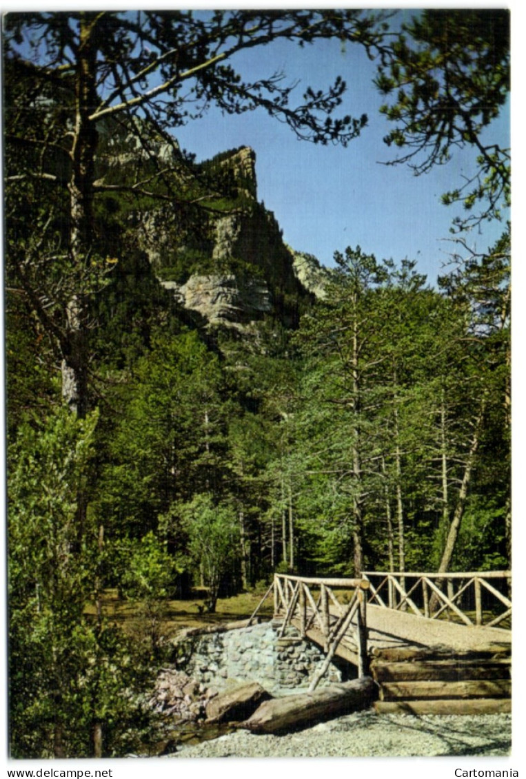 Pirineo Aragones (Huesca) - Parque Nacional De Ordesa - Puente Rustico Sobre El Rio Arazas - Huesca