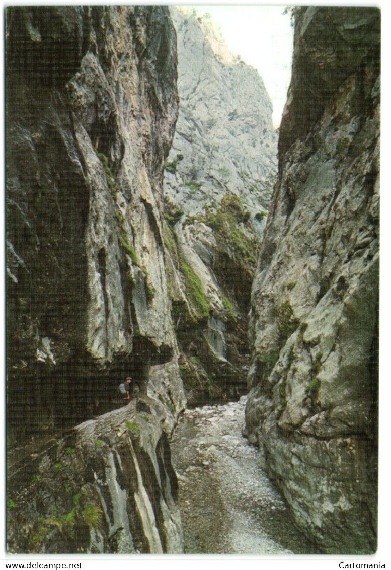 Picos De Europa - Tuneles En La Garganta Del Rio Cares - Asturias (Oviedo)