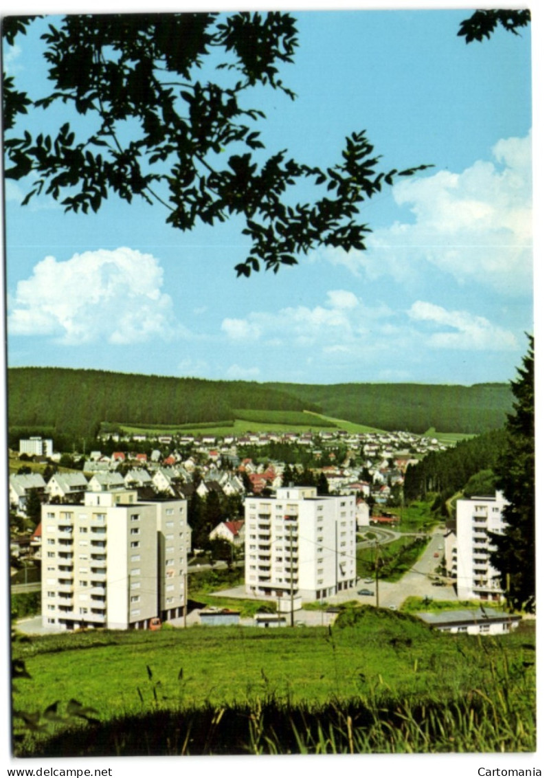 Furtwangen / Schwarzwald - Furtwangen