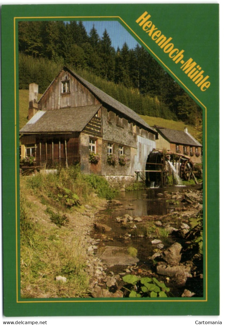 Hexenloch-Mühle - Furtwangen