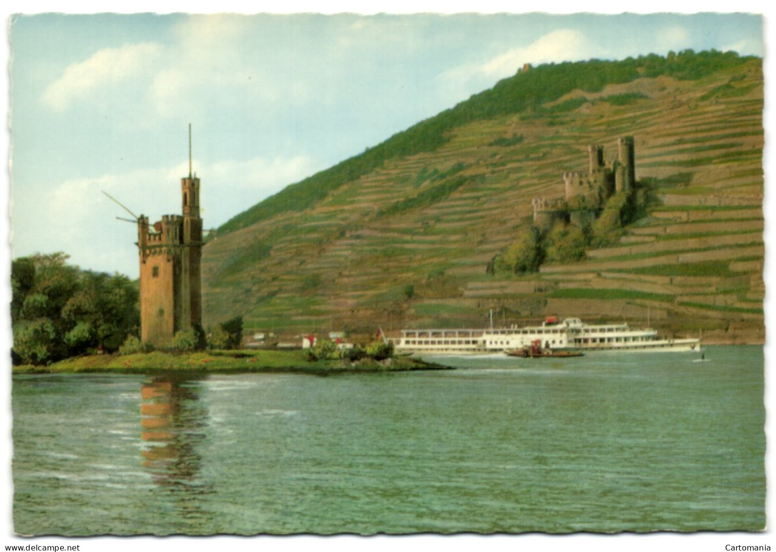 Der Mäusetrum Und Ruine Ehrenfels Am Rhein - Rheingau