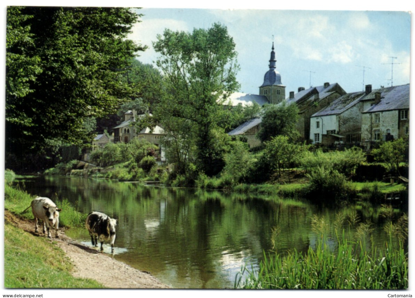 La Semois Au Printemps - Libramont-Chevigny