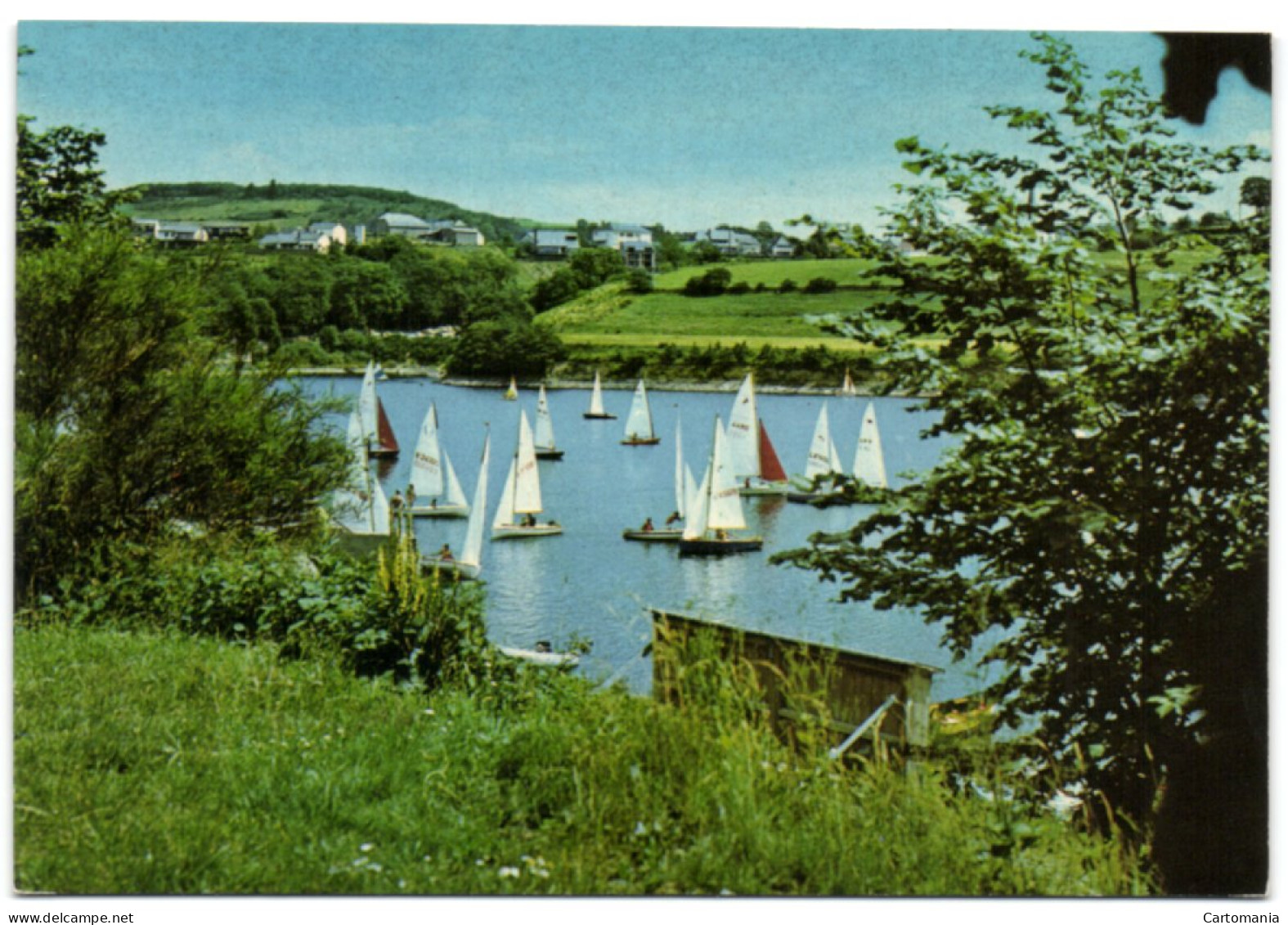 Lac De La Haute Sûre - Régate Sur Le Lac - Wiltz