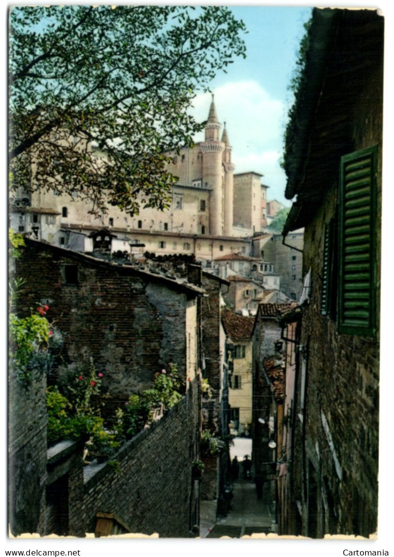Urbino - I Torricini Visti Da S. Giovanni - Urbino