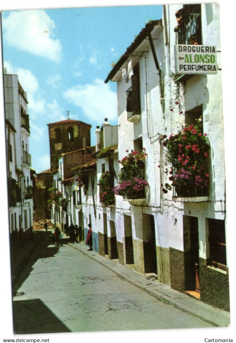 Plasencia - Calle Del Salador - Cáceres