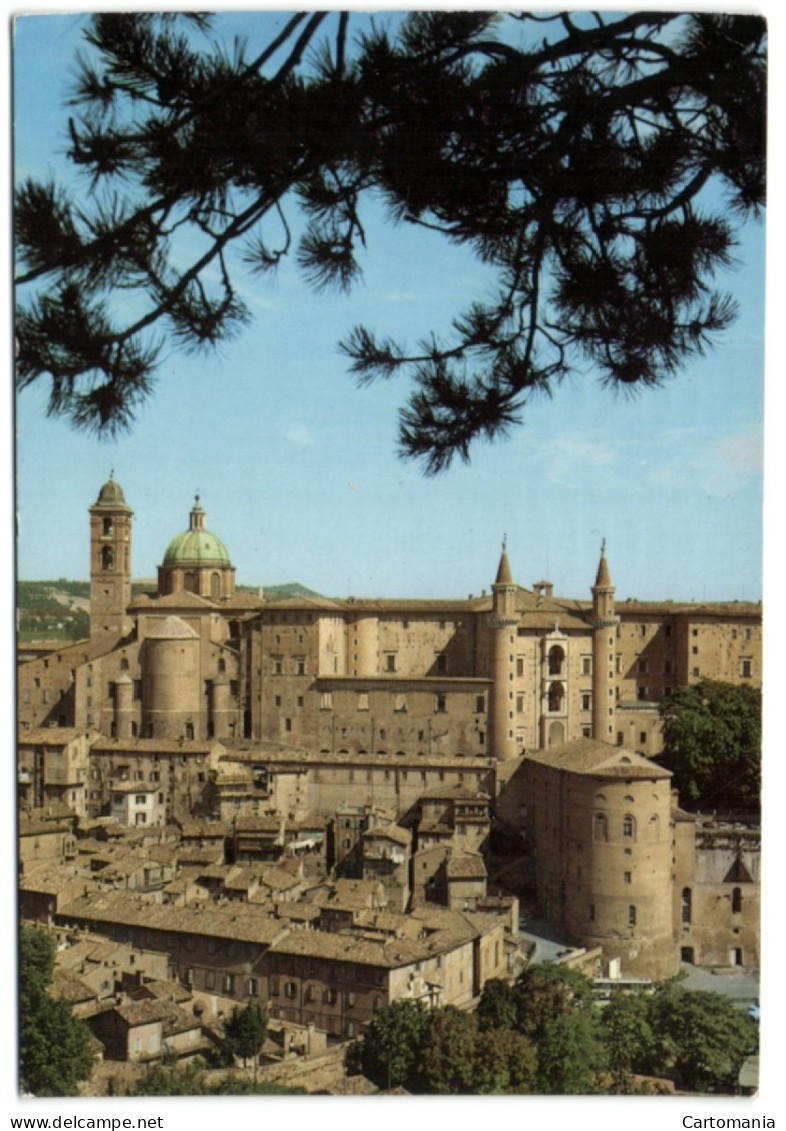 Urbino - Scorcio Panoramico - Urbino