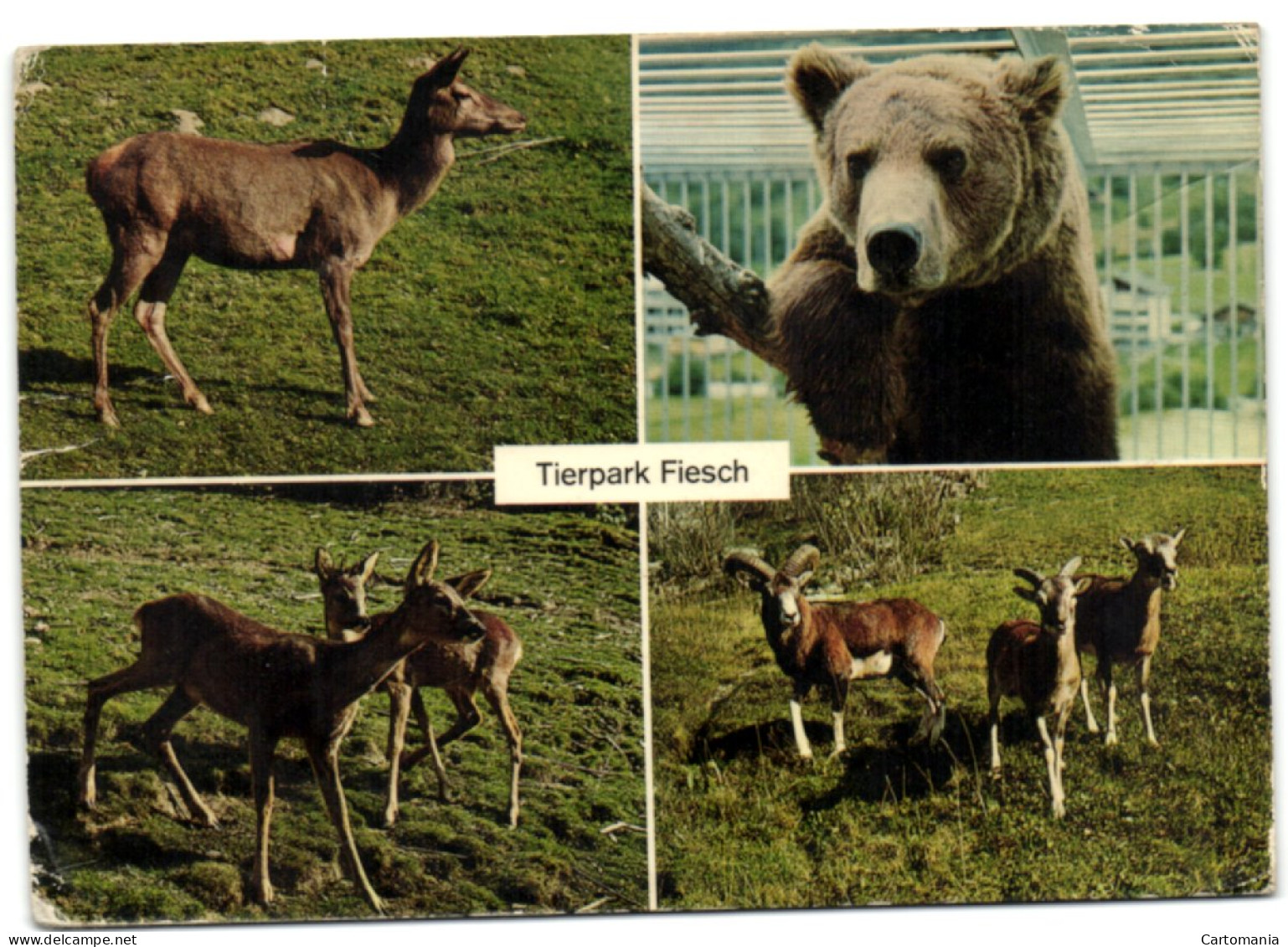 Tierpark Fiesch - Fiesch