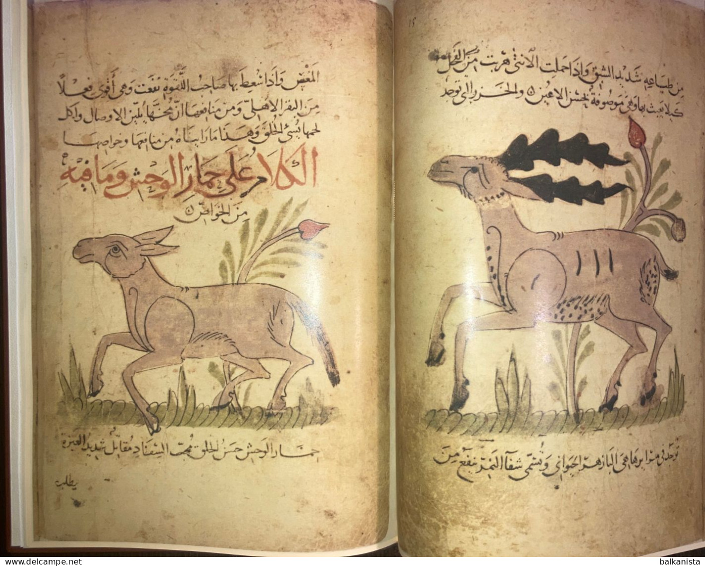 Kitab Manafi Al Hayavan Bakhtishu Usefulness Of Animals ARABIC Havass Facsimile - Livres Anciens